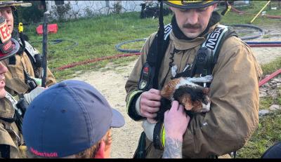 Image of firefighting holding cat after rescuing it from house fire