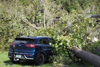 Photo showing a tree on top of a car and house